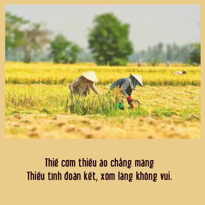 Những câu nói hay về tình làng nghĩa xóm 2