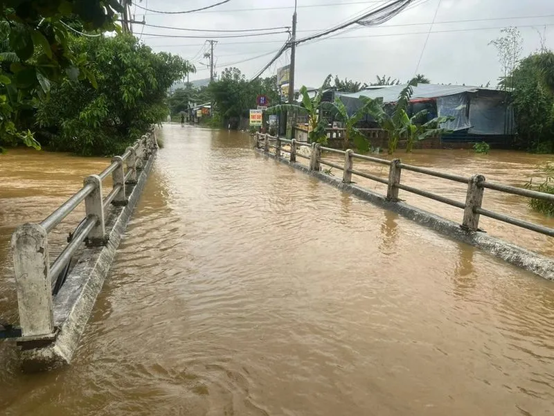 Điểm tin trưa 15/10: Số trẻ bệnh tăng, các bệnh viện quá tải | Đà Nẵng ngớt mưa, nước rút 2