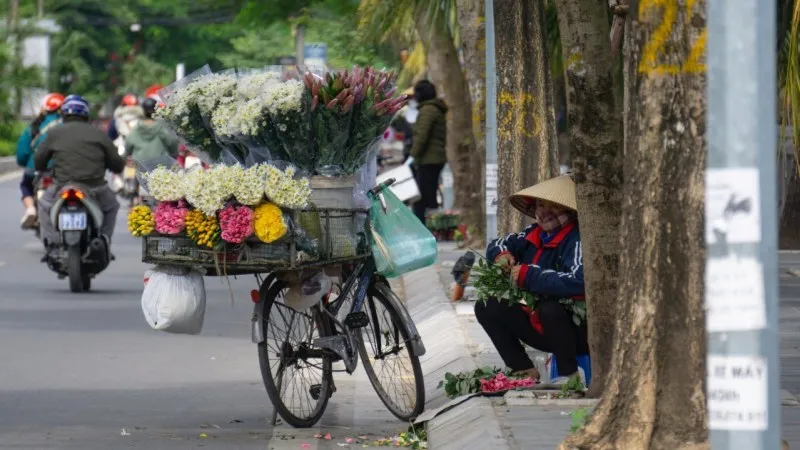 Điểm tin chiều 16/10: TPHCM thêm 6 ca đậu mùa khỉ | Huế sơ tán dân ở những nơi nguy hiểm 3