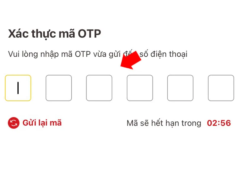 Passcode VNeID là gì và những điều bạn cần biết 10