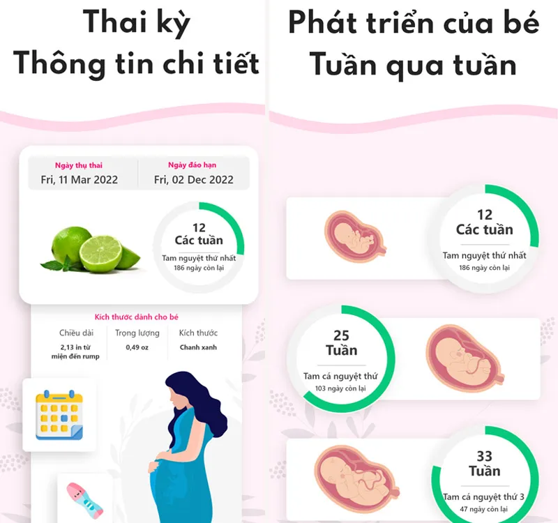 Top 10 ứng dụng theo dõi thai kỳ được nhiều mẹ bầu tin dùng 10