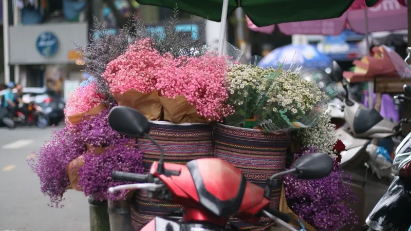 Đường phố TPHCM ngập tràn sắc hoa mừng ngày 20/10 1