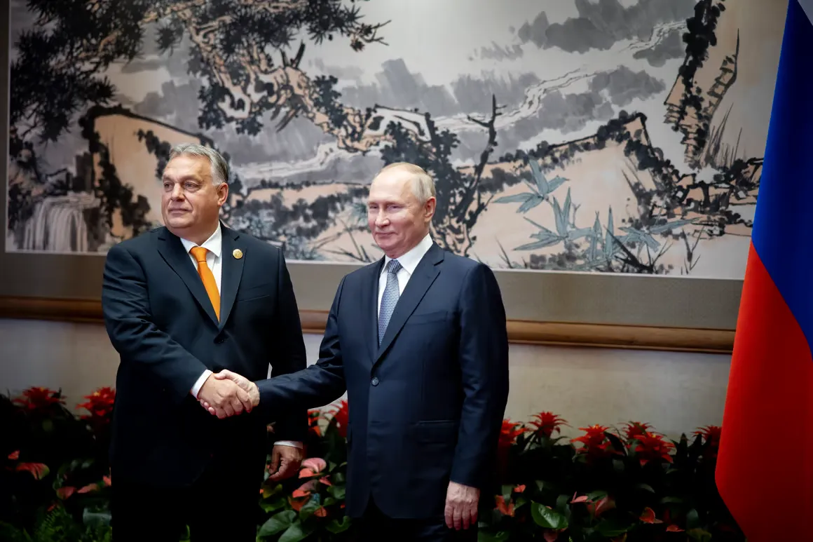 Thủ tướng Orban (trái) và Tổng thống Putin tại Bắc Kinh - Ảnh: Politico