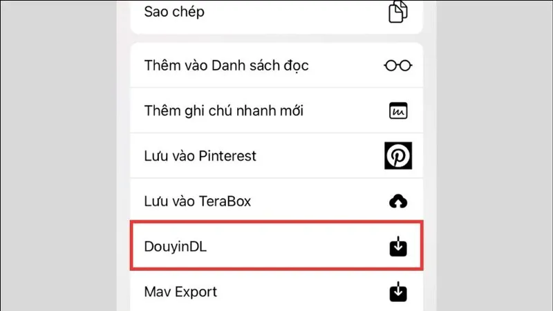 Cách tải video Douyin không logo về điện thoại và máy tính nhanh nhất 5