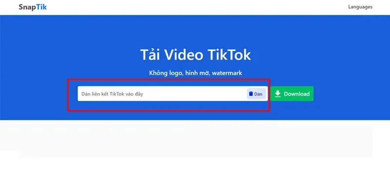 Cách tải video Douyin không logo về điện thoại và máy tính nhanh nhất 12