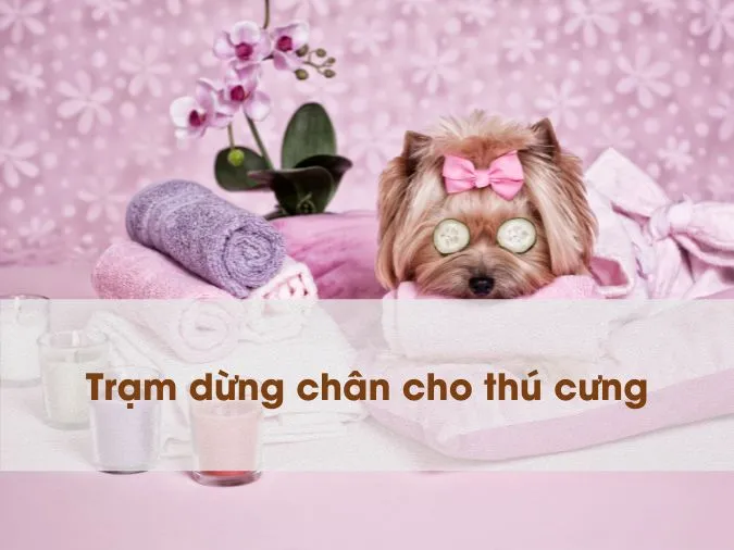 Top slogan spa hay, slogan thẩm mỹ viện “đọc là nhớ” 4