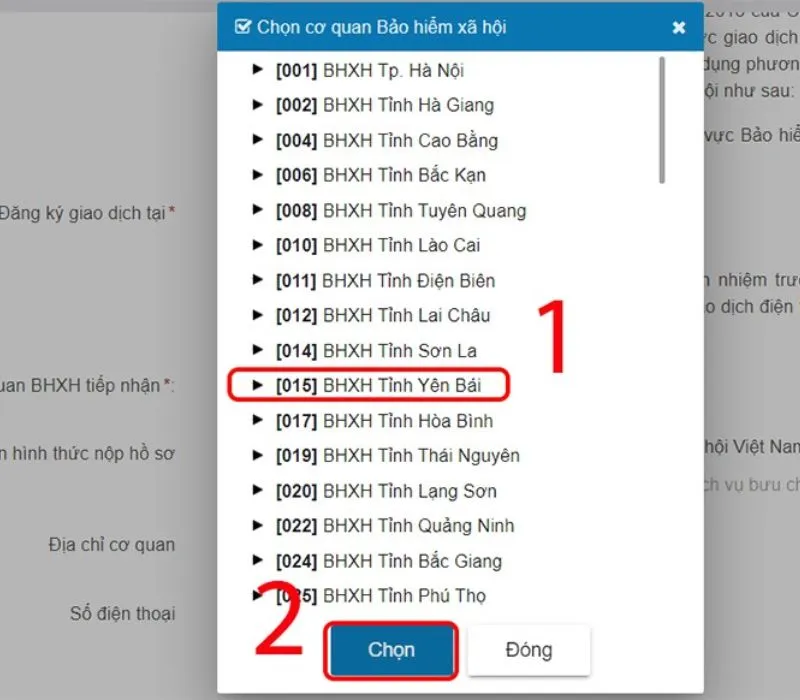 Hướng dẫn tra cứu tiền thai sản trên VssID chi tiết từ A - Z 11