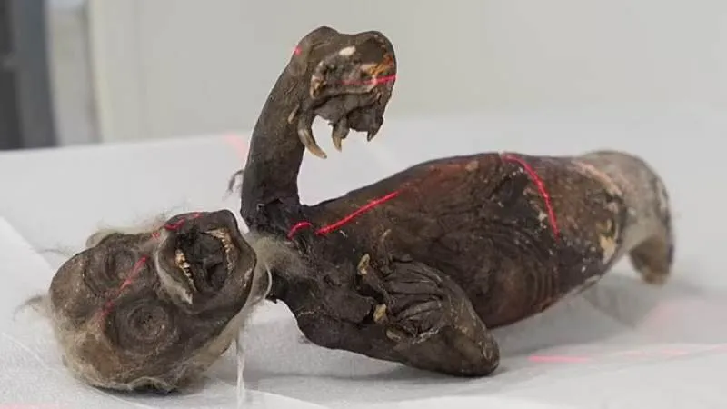 Lật mở những bí ẩn về 