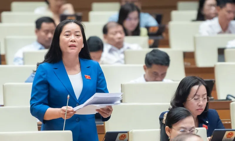 ĐBQH: Quy định độ tuổi, quyền hạn của lực lượng bảo vệ an ninh, trật tự cơ sở 2