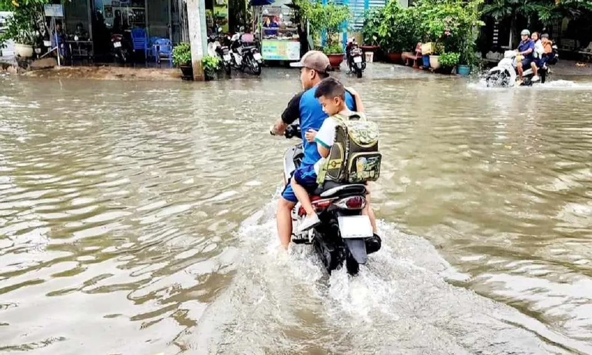 TPHCM chuẩn bị ứng phó triều cường vượt mức báo động 3 1