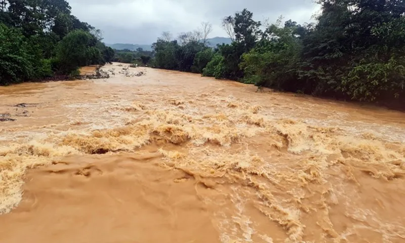 Chủ động ứng phó mưa lũ, bảo đảm an toàn cho người dân tại miền Trung, Tây Nguyên 1