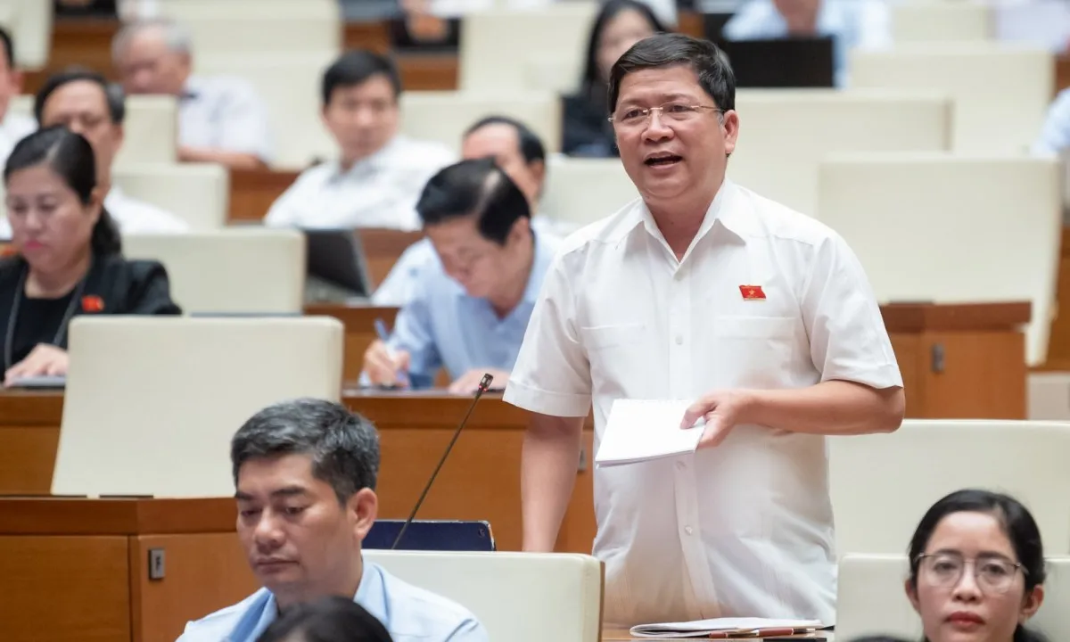 Cá nhân không trực tiếp sản xuất nông nghiệp có thể nhận chuyển nhượng đất trồng lúa 1