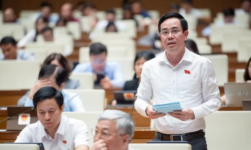 Cá nhân không trực tiếp sản xuất nông nghiệp có thể nhận chuyển nhượng đất trồng lúa 2