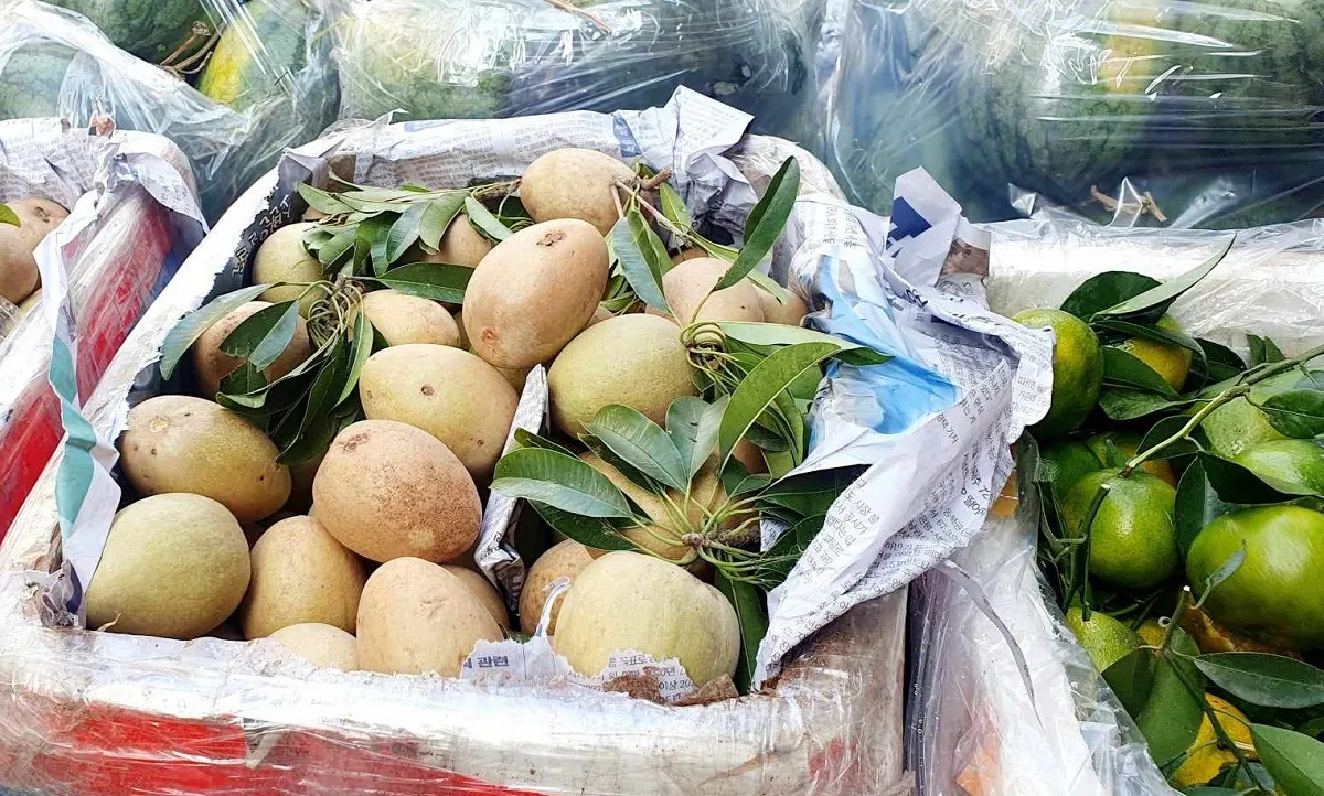 Giá cả thị trường hôm nay 4/11/2023: Giá các loại trái cây 1