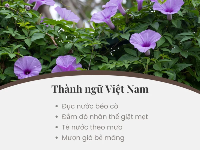 Giải thích ý nghĩa thành ngữ “Giậu đổ bìm leo” là gì? 5