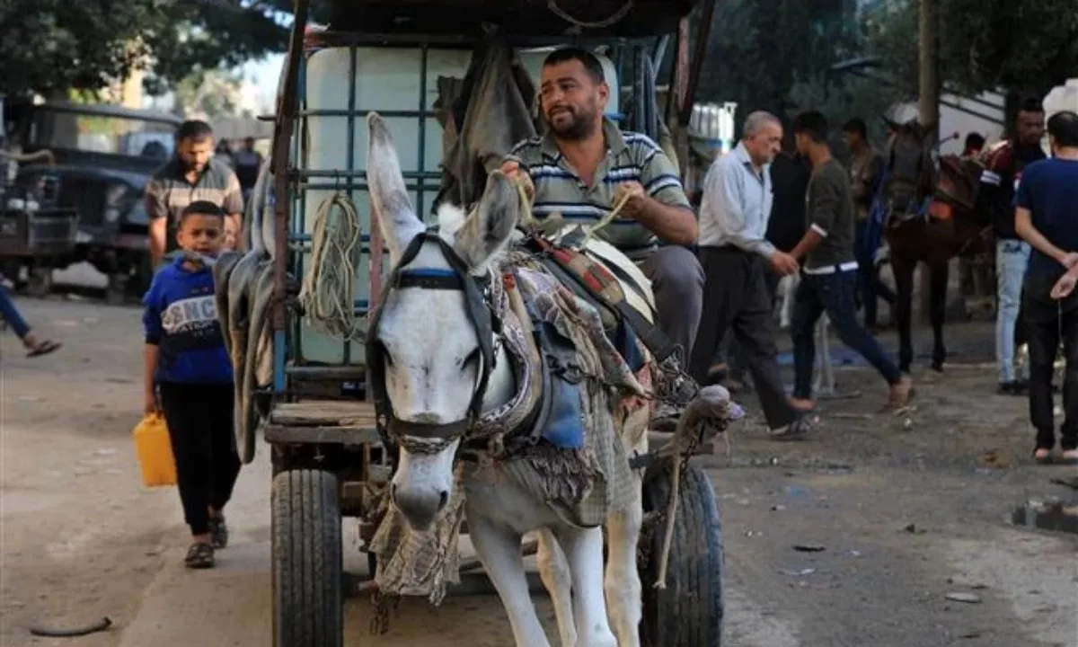 Xung đột Hamas-Israel: Israel cảnh báo sơ tán phía nam Dải Gaza