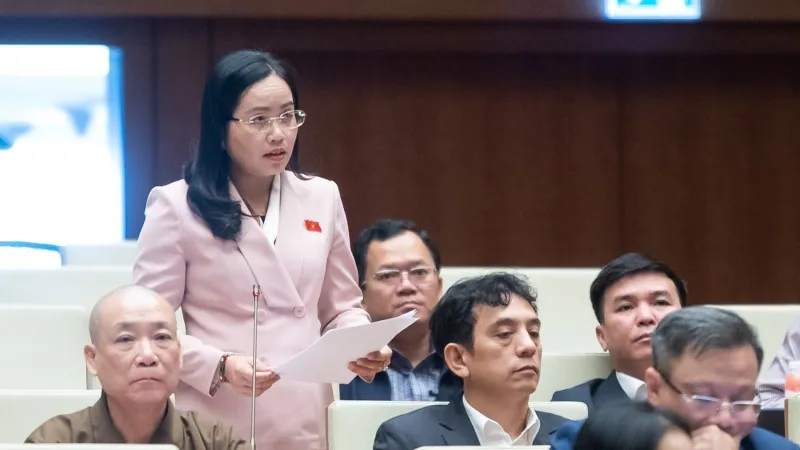 Cần có đạo luật riêng về những vấn đề của người chưa thành niên 2