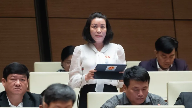 Cần có đạo luật riêng về những vấn đề của người chưa thành niên 1