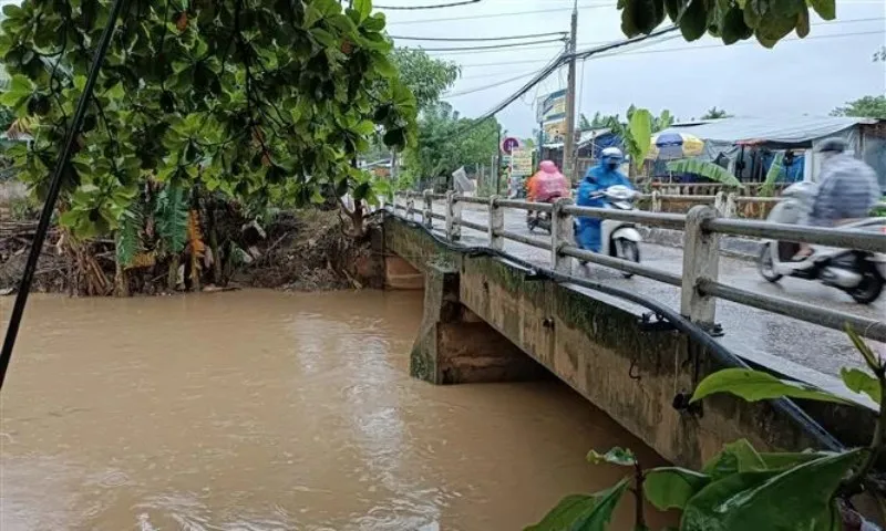 Điểm tin trưa 21/11: Cảnh báo mưa lớn dồn dập miền Trung | Vé máy bay Tết Nguyên đán 2024 còn nhiều 3