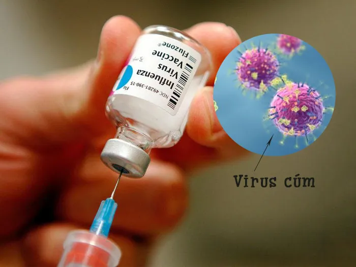 Tiêm vắc xin ngừa cúm và một số điều cần biết 1