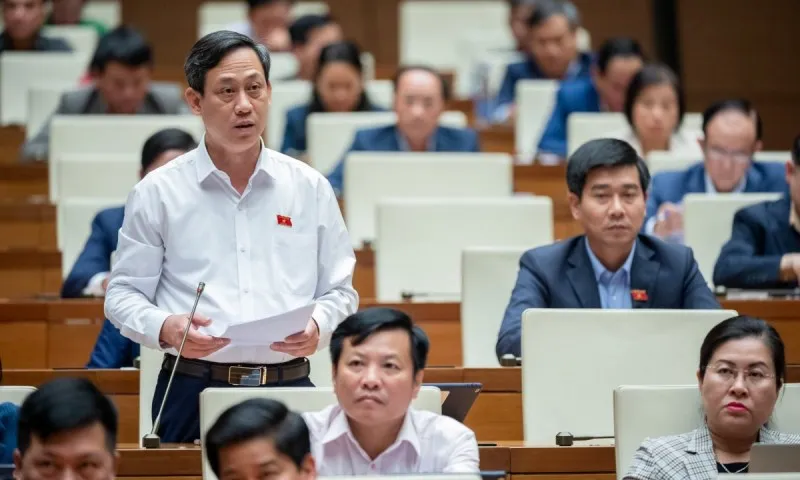 ĐBQH: Tòa án không thu thập chứng cứ sẽ gây khó cho dân 2