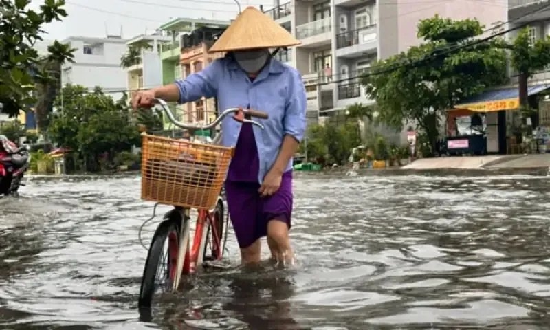 Điểm tin trưa 24/11: TPHCM cần giải pháp chống ngập mới | Chiếm đoạt 34.000 tài khoản Facebook 2