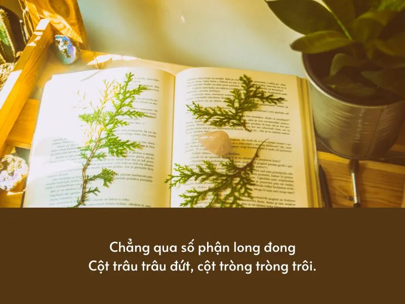 Giải thích thành ngữ “Ba chìm bảy nổi” là gì? 4