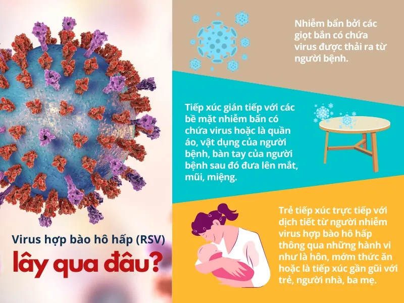 Nhóm trẻ dễ mắc, dễ chuyển nặng khi nhiễm virus hợp bào hô hấp (RSV) 1