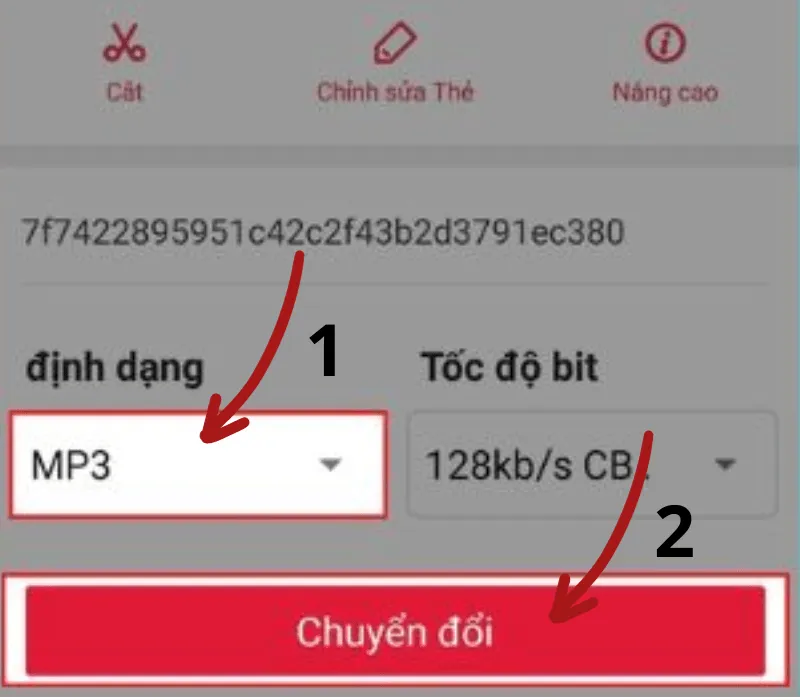 Cách tải âm thanh TikTok, chuyển video TikTok sang MP3 siêu dễ 13