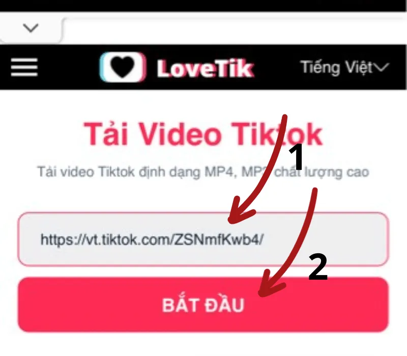 Cách tải âm thanh TikTok, chuyển video TikTok sang MP3 siêu dễ 15