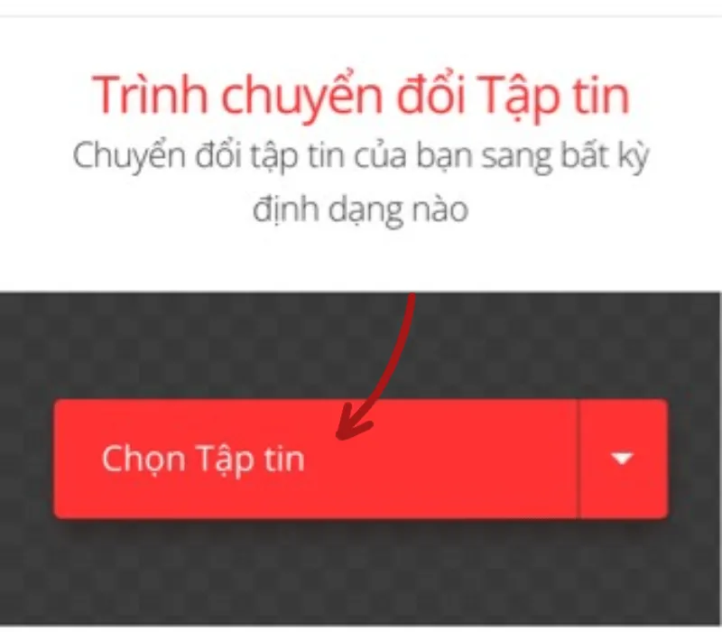 Cách tải âm thanh TikTok, chuyển video TikTok sang MP3 siêu dễ 17