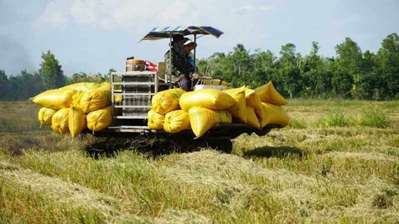 Điểm tin chiều 1/12: Từ 1/12 giao dịch 400 triệu trở lên phải báo NHNN | Củ sắn rớt giá, nông dân chưa chịu bán 3