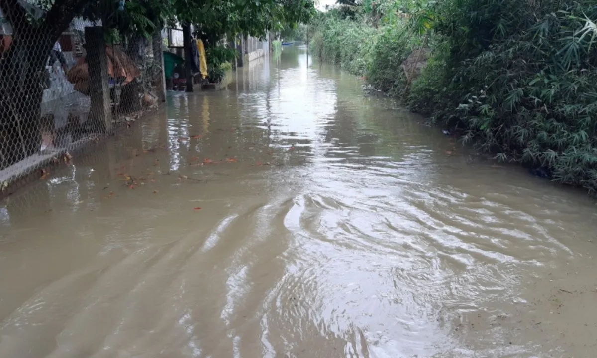 Thừa Thiên Huế: Mưa lớn, vùng hạ du sông Bồ ngập nặng