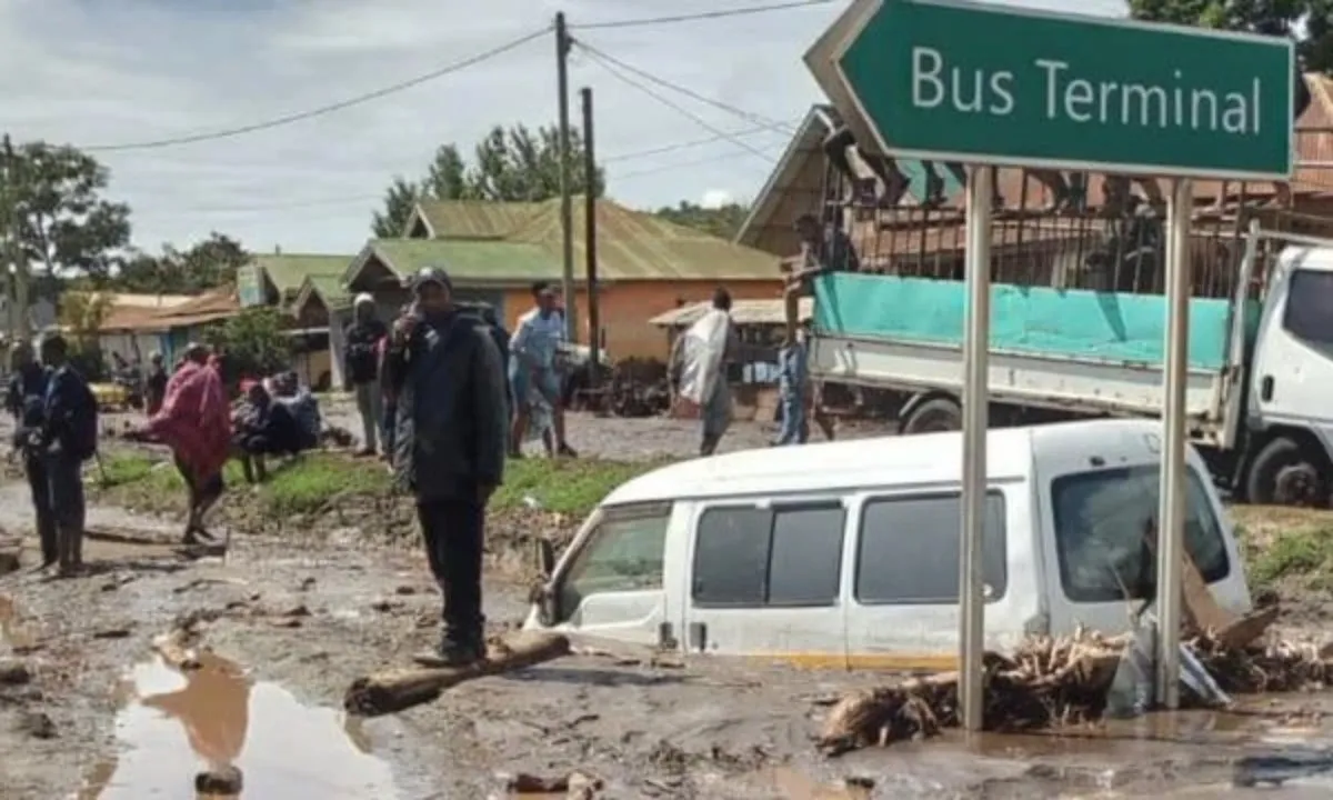 Lở đất nhấn chìm các khu vực tại miền Bắc Tanzania, gần 100 người thương vong 