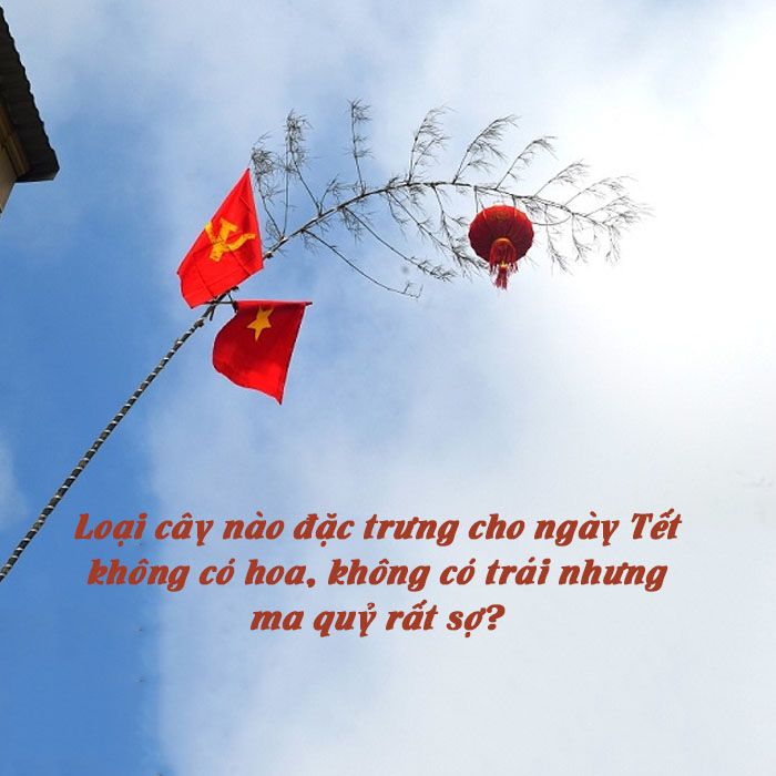 Nhấn vào ảnh để phóng to 70 câu đố về mùa xuân, câu đố Tết cho trẻ em 2