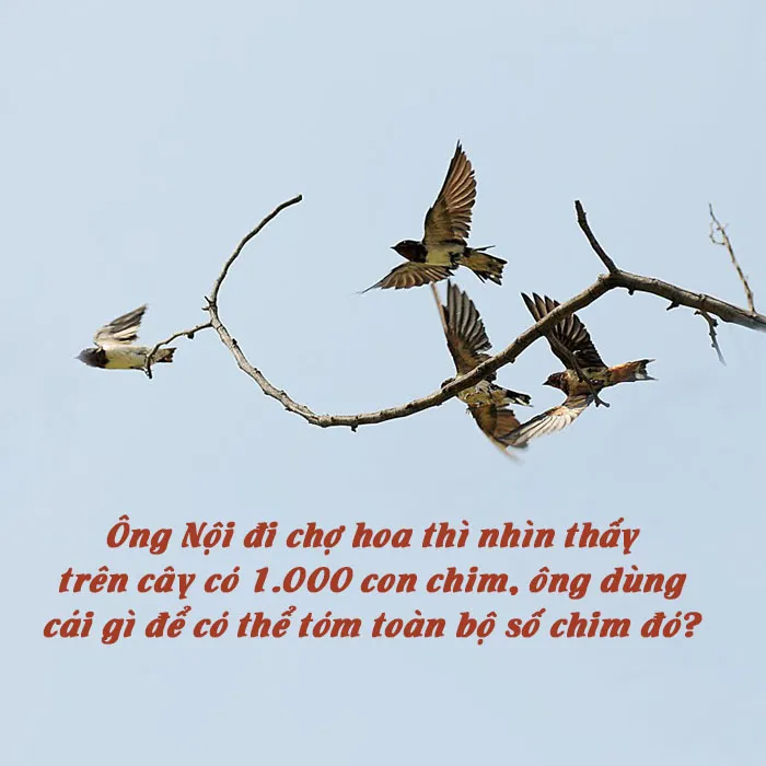 Máy ảnh