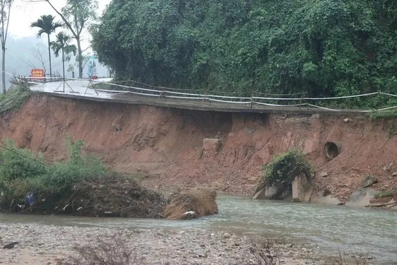 Điểm tin chiều 6/12: Phải xuất hóa đơn điện tử không phân biệt giá trị | Giá thanh long cuối mùa cao gấp 3 lần 3