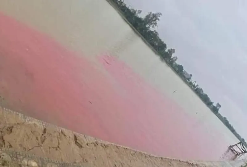 Quảng Trị: Một đoạn sông Hiếu nước màu đỏ bất thường 1