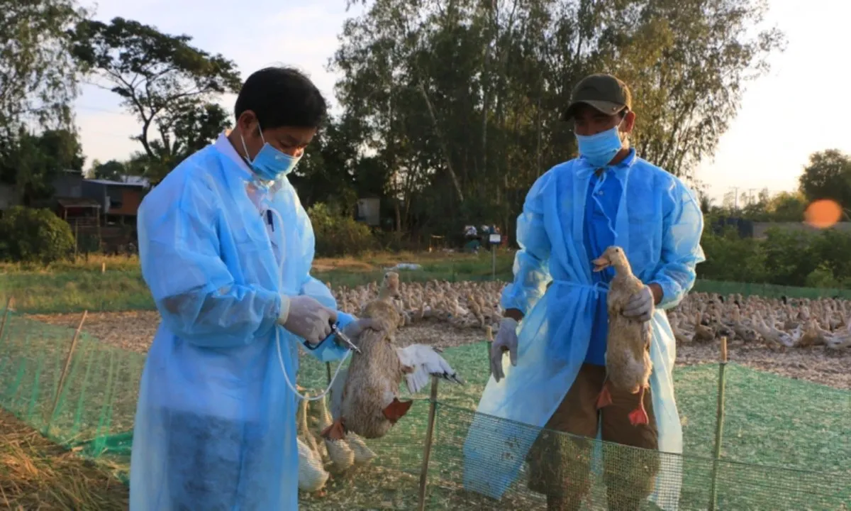 Điểm tin trưa 11/12: Nhược thị ở trẻ em tăng cao | Cựu lãnh đạo Khánh Hòa lại hầu tòa