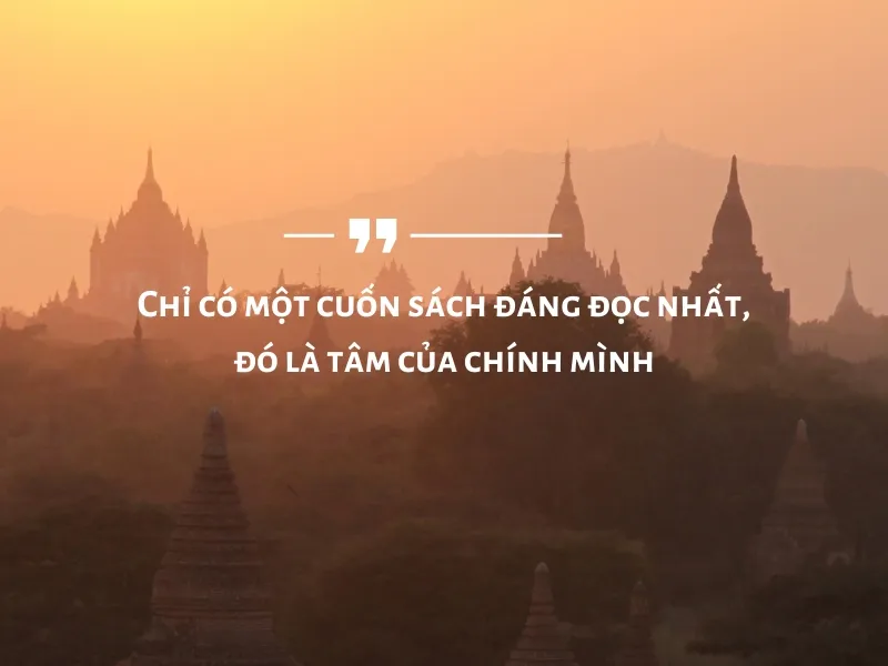 Những câu nói hay của thiền sư Ajahn Chah 2