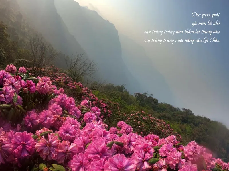 50 bài thơ về Lai Châu - Mảnh đất nơi cuối trời Tây Bắc 9