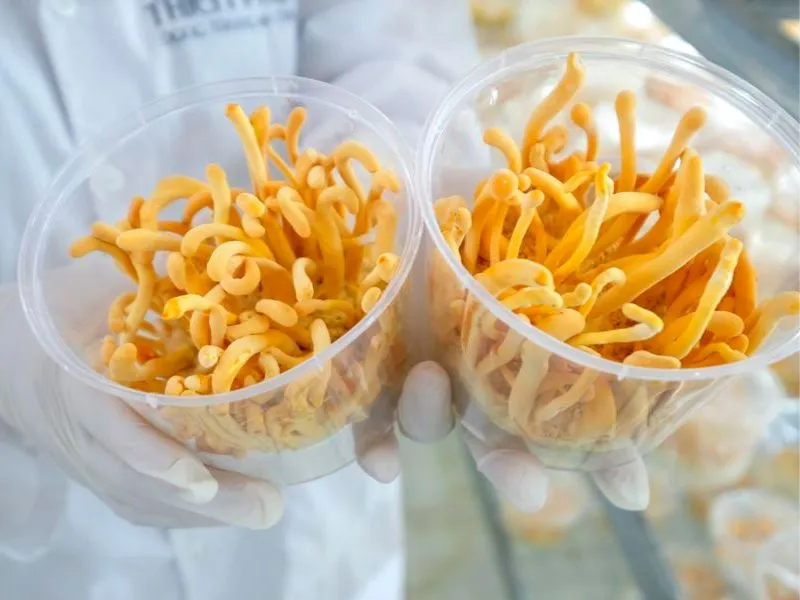 CEO Nguyễn Thị Hồng: Nữ tỷ phú “chinh phục” Đông Trùng Hạ Thảo đầu tiên tại Việt Nam 4