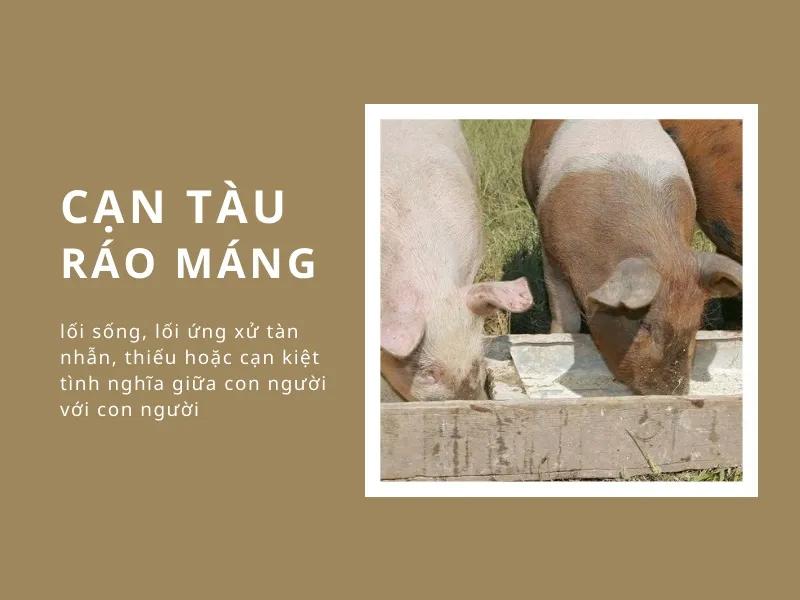 Nguồn gốc, ý nghĩa thành ngữ “Cạn tàu ráo máng” là gì? 1