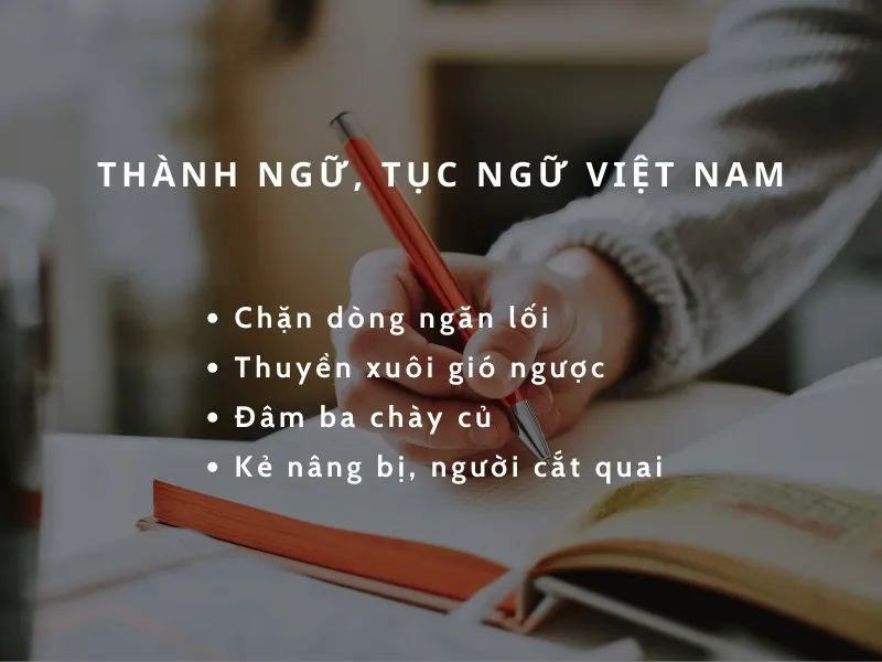 Giải thích thành ngữ -Chọc gậy bánh xe” là gì? 4