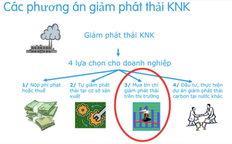 Net Zero và cuộc đua của các doanh nghiệp Việt Nam 2