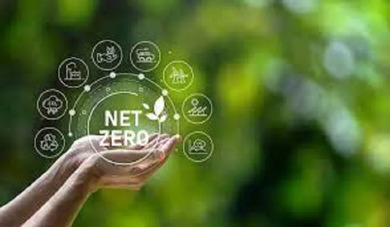 Net Zero và cuộc đua của các doanh nghiệp Việt Nam 1