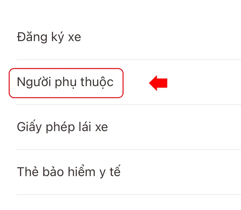 Người phụ thuộc trên VNeID là gì? Cách tích hợp đơn giản nhất 8