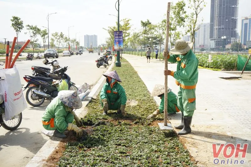 Công viên 20 ha bên sông Sài Gòn trước giờ khánh thành 4