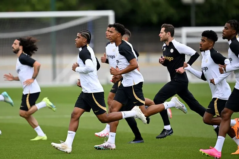 CĐV phản ứng trái chiều trước quyết định của HLV Pochettino - Ảnh: Internet