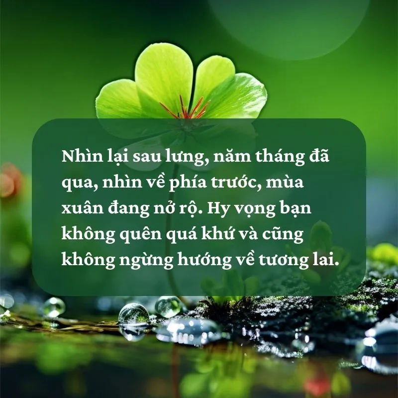 Giờ là lúc nhìn lại một năm đã qua chúng ta làm được những gì? 4